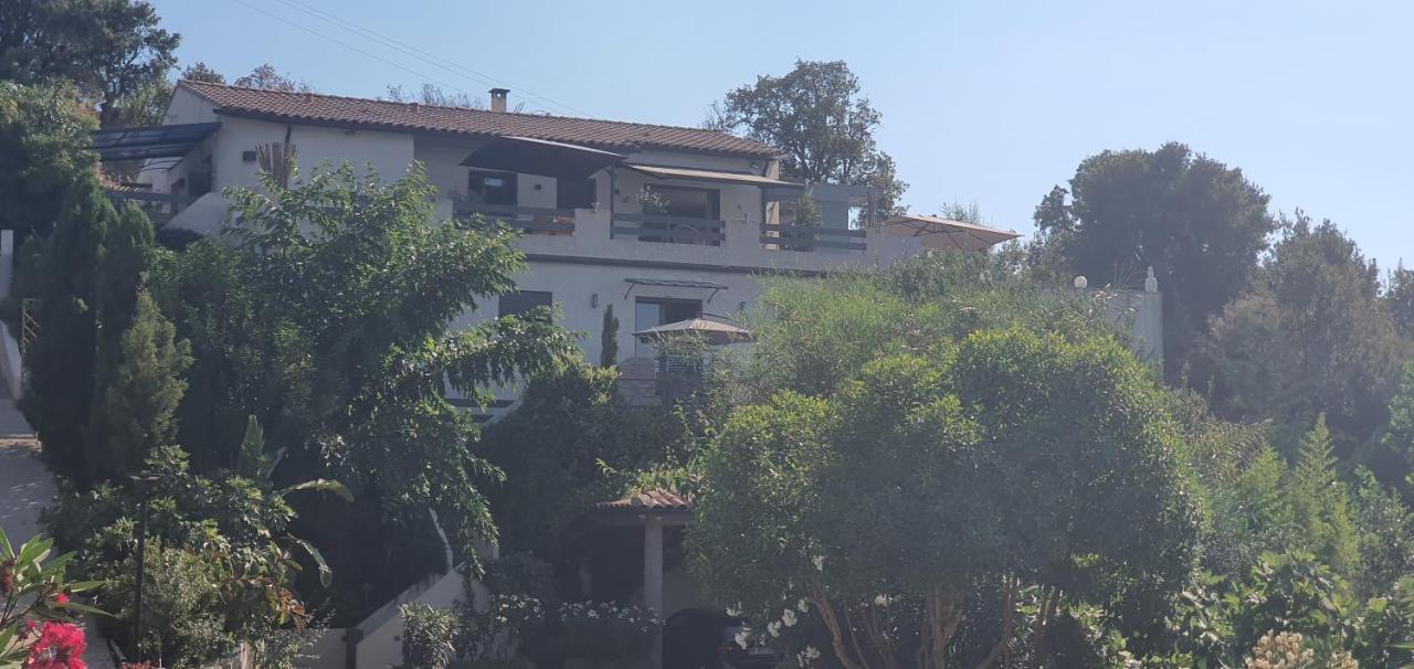 Appartement F2 Avec Terrasse De 35 M2 Bomorto - Porticcio Porticcio  Exterior foto